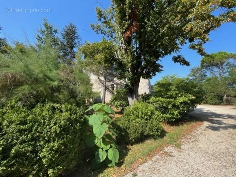 Dpt  (32) : ELEGANT CHATEAU XIX, sans travaux, bases médievales avec douves, piscine, sur 9100m2 jardin clos - photo 15