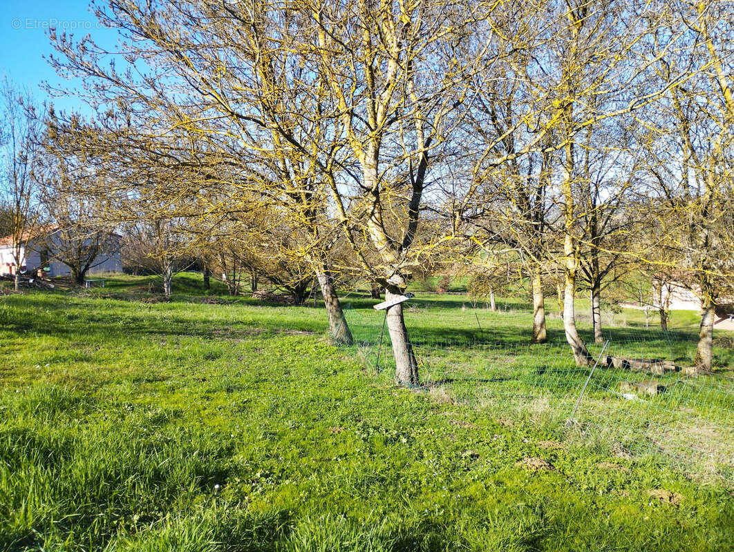 Terrain vue dégagée - photo 3