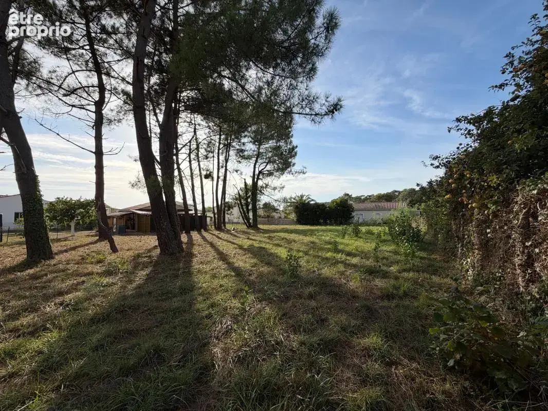 Photo Terrain à Saint-Palais-Sur-Mer au prix de 299 900€