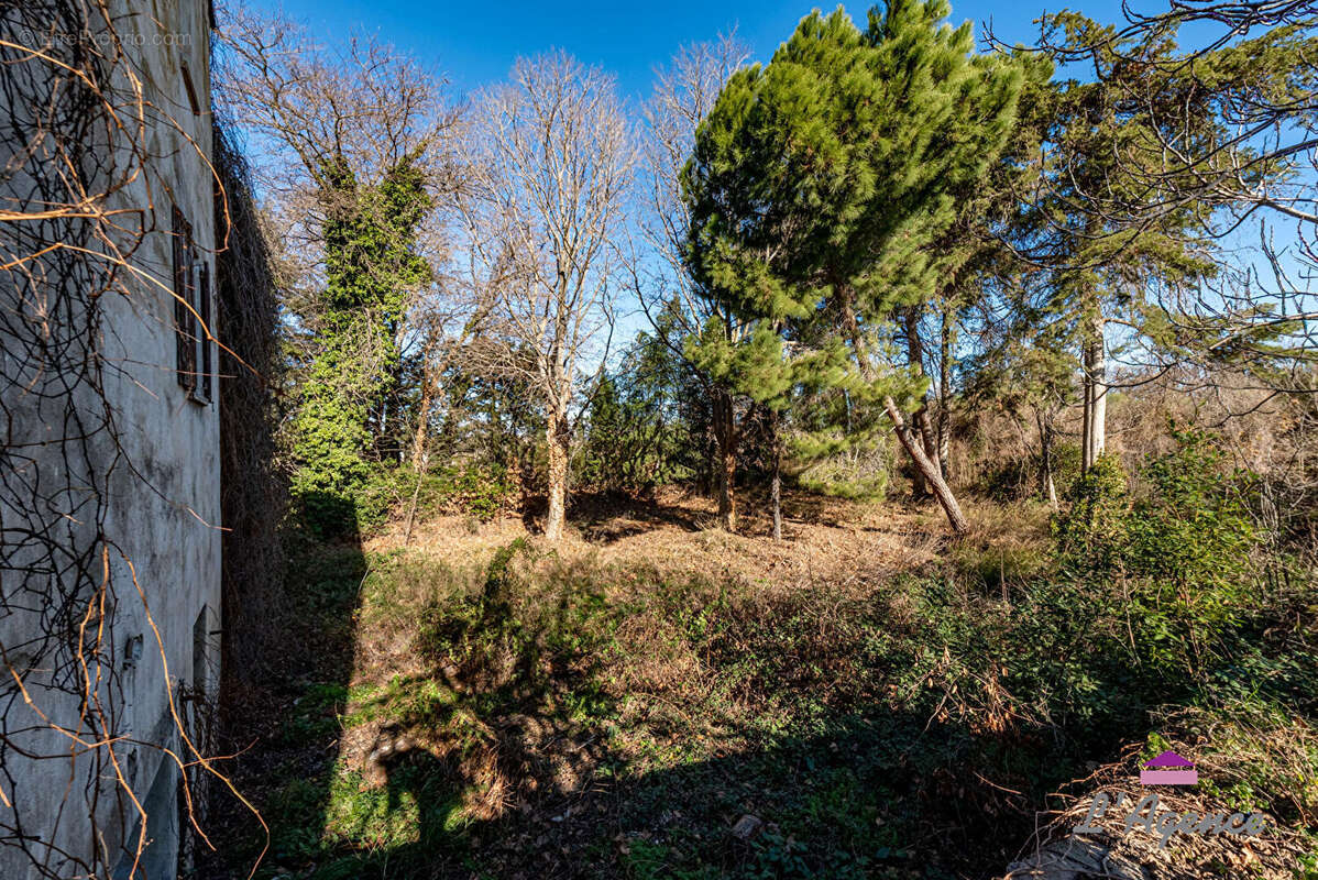 TOULOUGES / PERPIGNAN - Vieux Moulin à restaurer + terrain - photo 8
