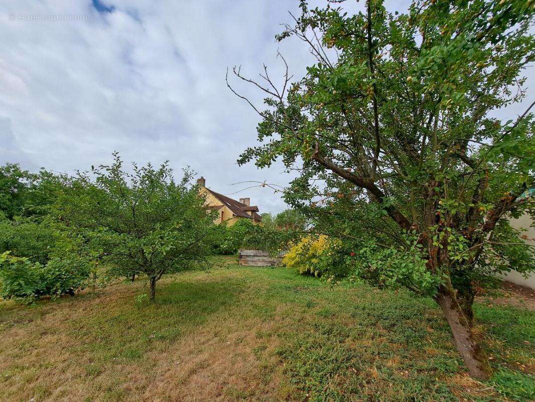 Maison à MEHUN-SUR-YEVRE