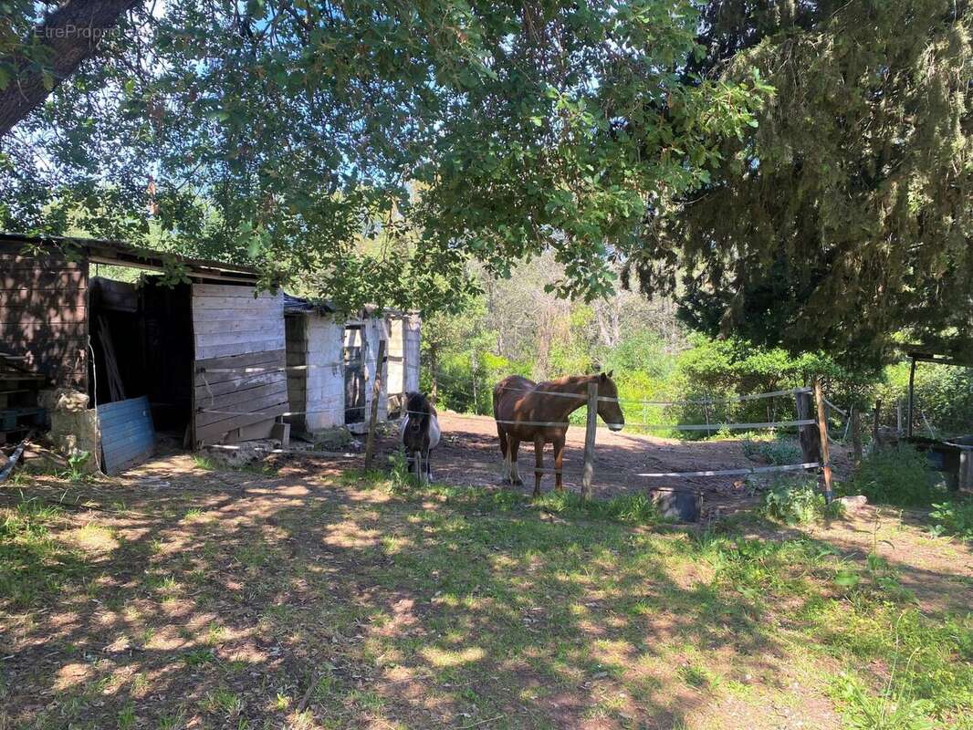 Photo 3 - Maison à SOLLIES-PONT