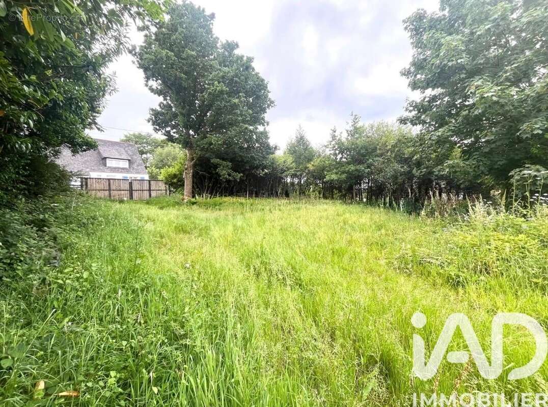 Terrain 550 m² à Pont-De-Buis-Les-Quimerch  - photo 2