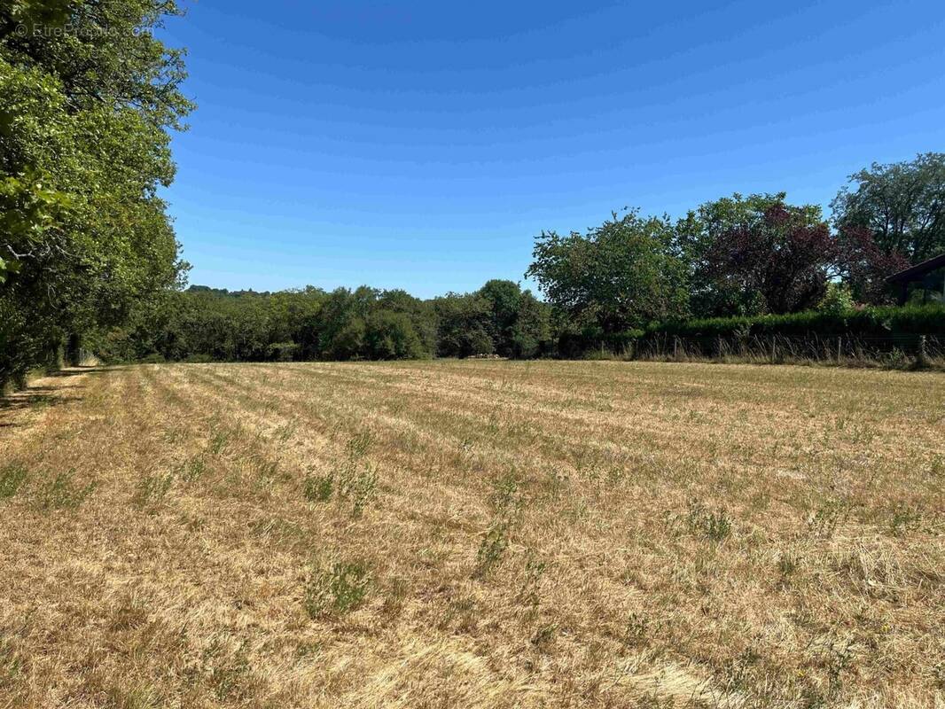 Terrain à SAINT-CYBRANET