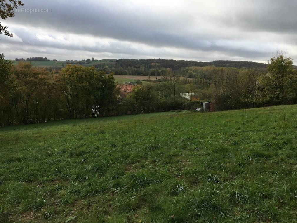 Terrain à TRIGUERES