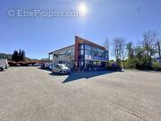 Commerce à SALERNES