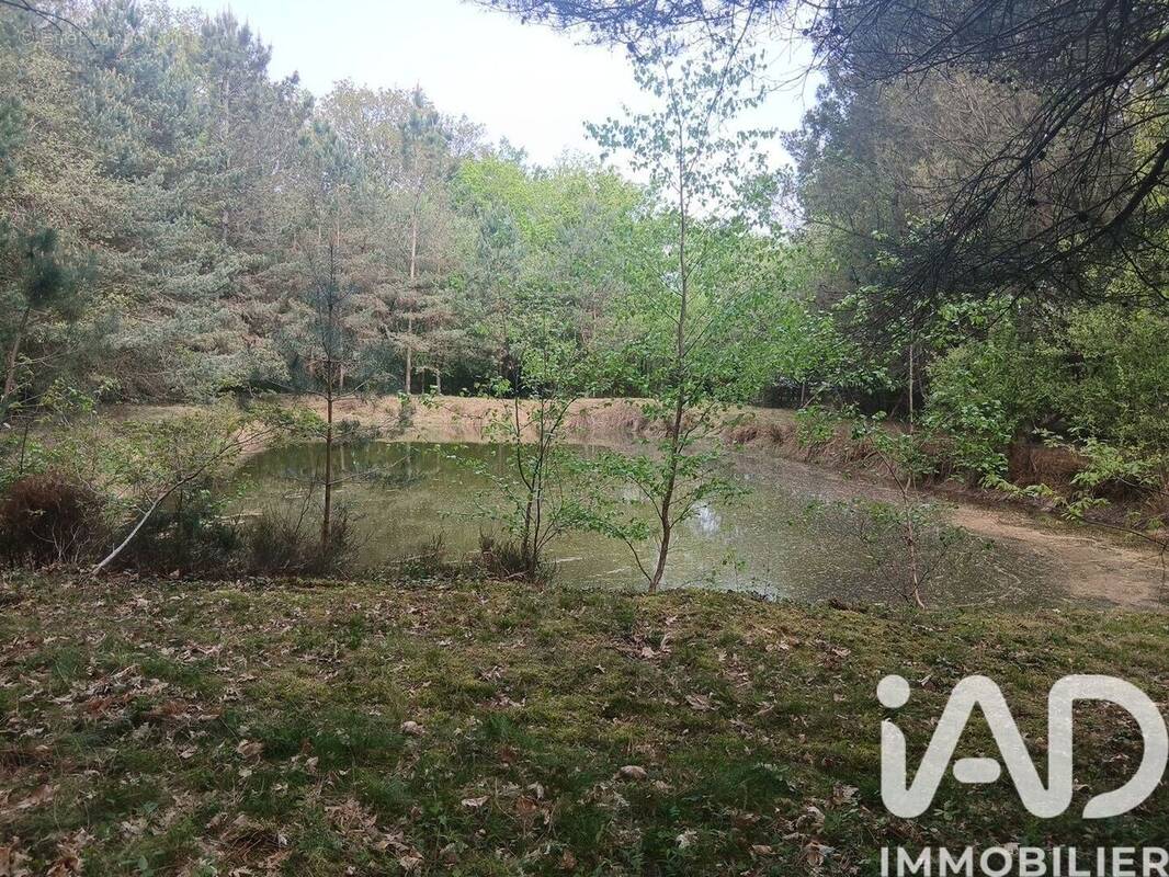 Photo 1 - Terrain à BAUGE