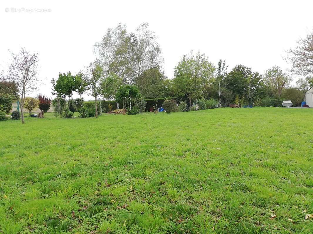 Terrain à MARIGNY