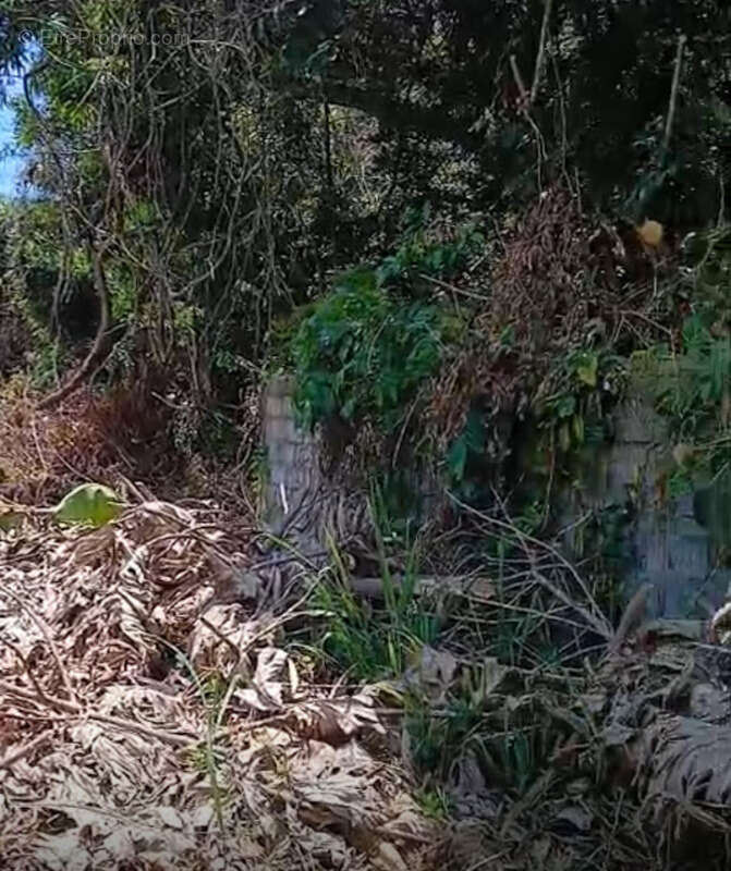 Maison à REMIRE-MONTJOLY