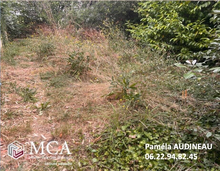 Terrain à LOUPIAC