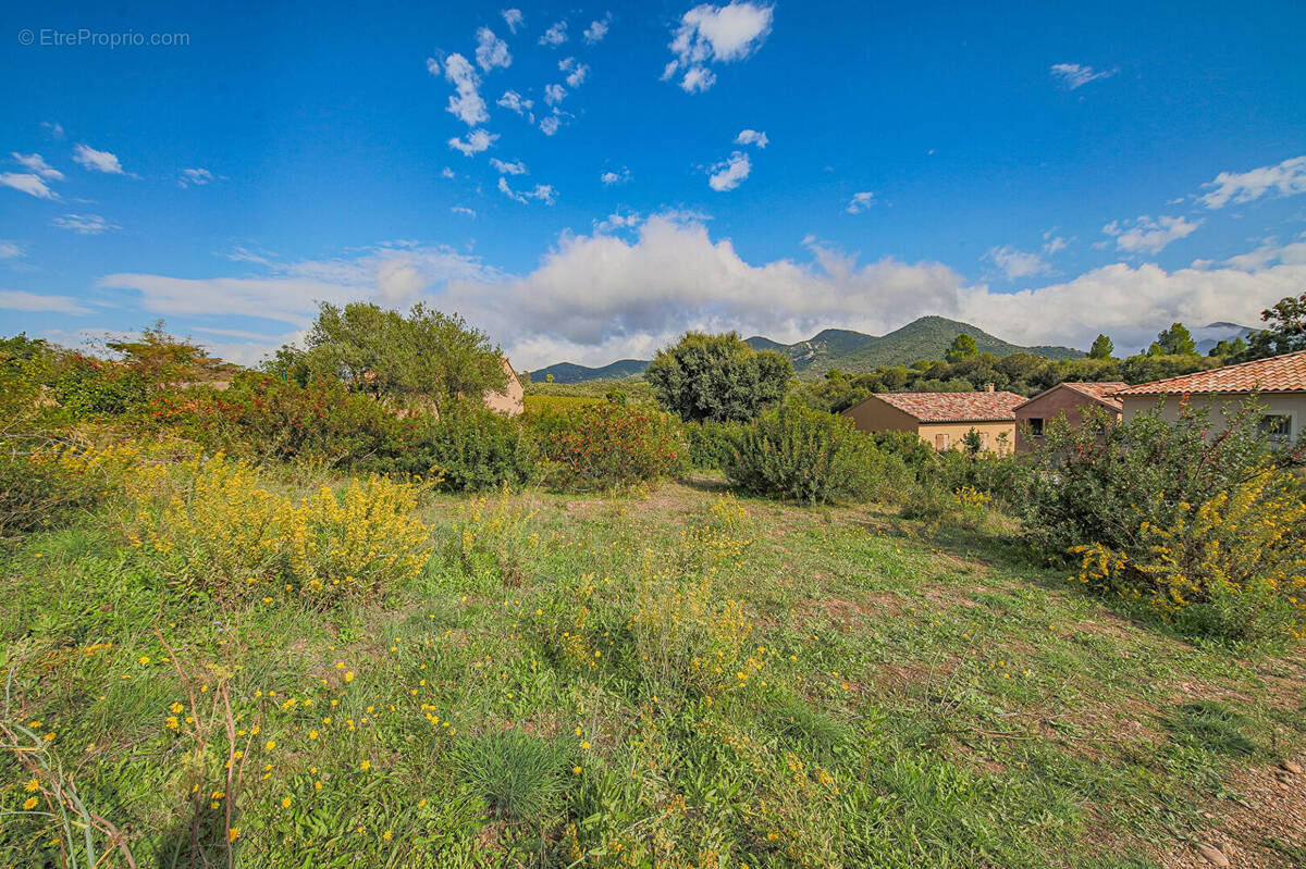 Terrain à SAINT-FLORENT