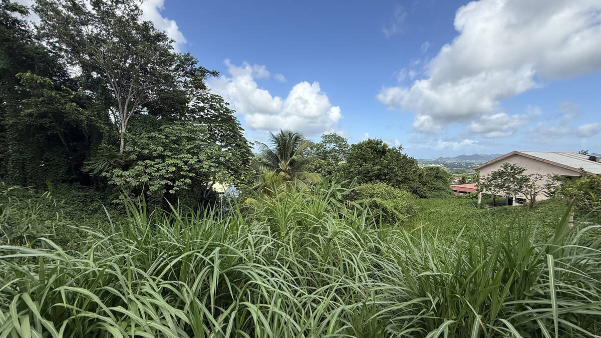 Terrain à SAINT-JOSEPH