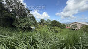 Terrain à SAINT-JOSEPH