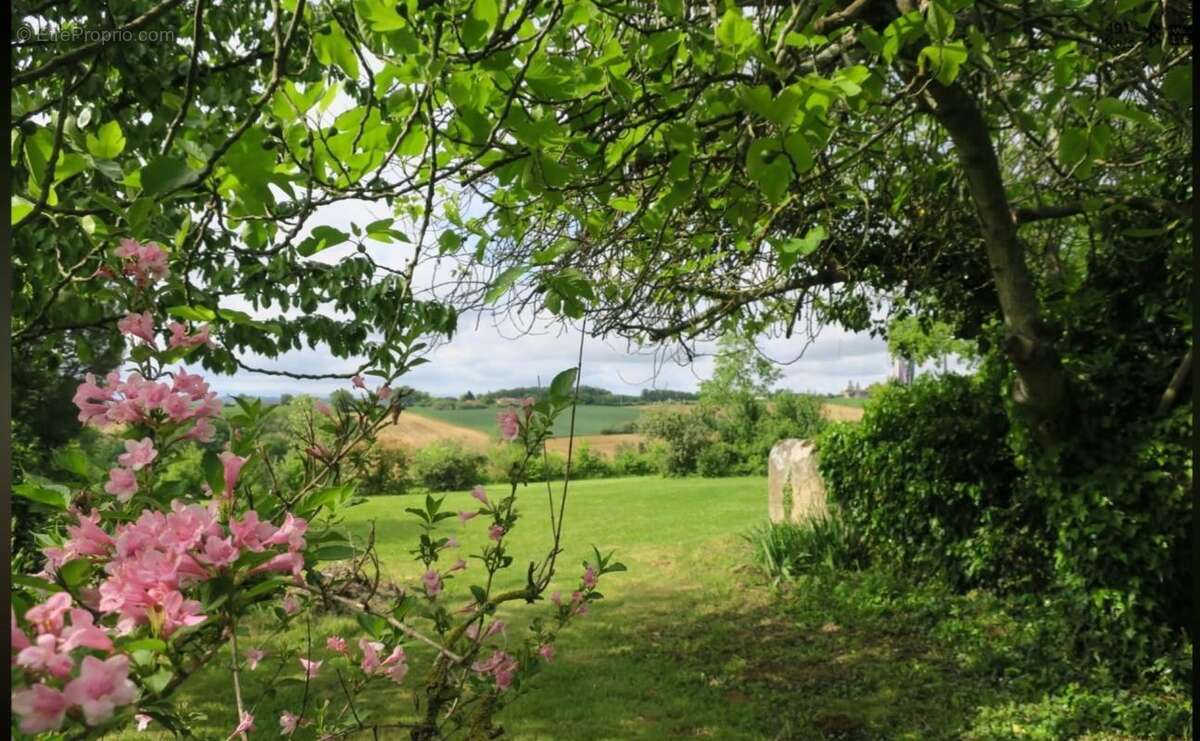 Un Domaine sur la Colline - photo 31