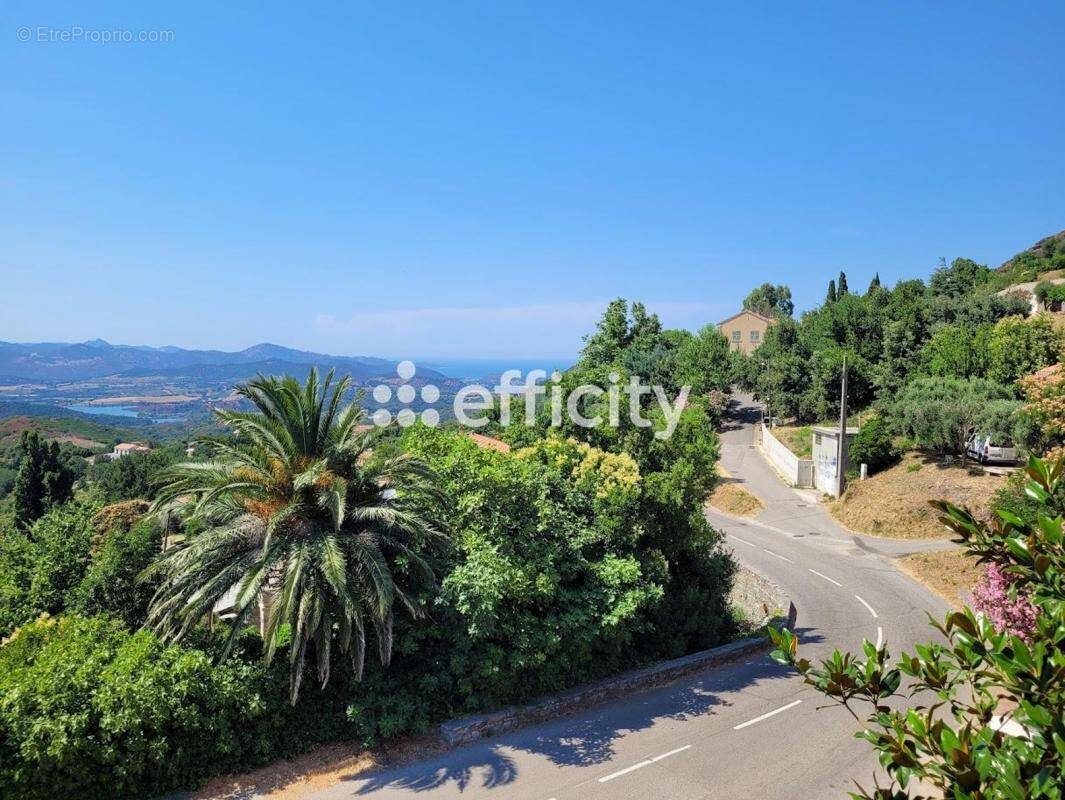 Appartement à OLMETA-DI-TUDA