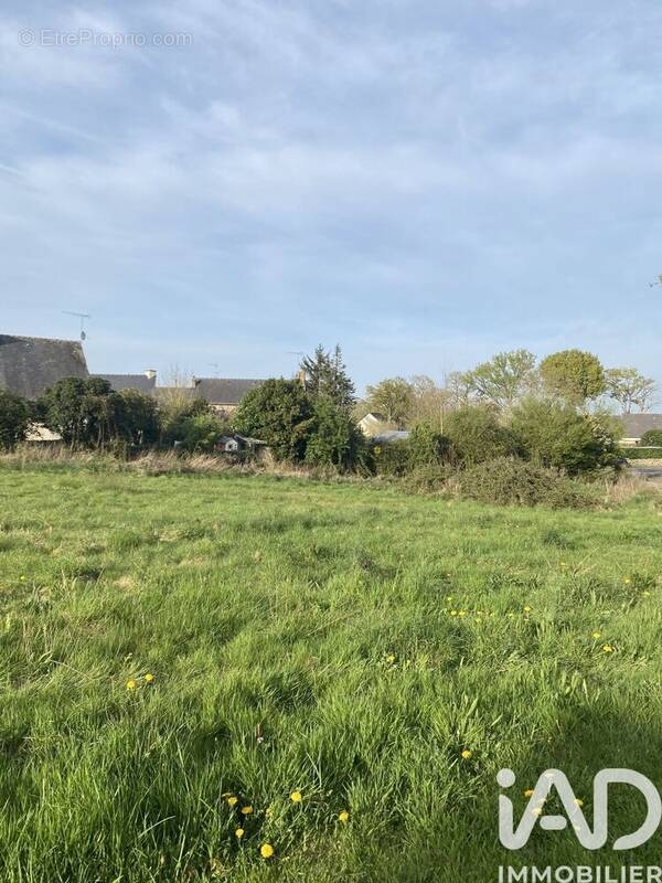 Photo 1 - Terrain à ERCE-PRES-LIFFRE