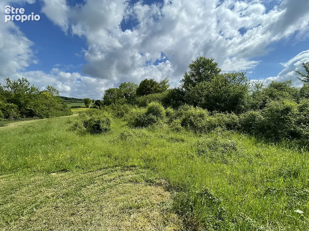 Terrain Montreuil Sur Breche - photo 4
