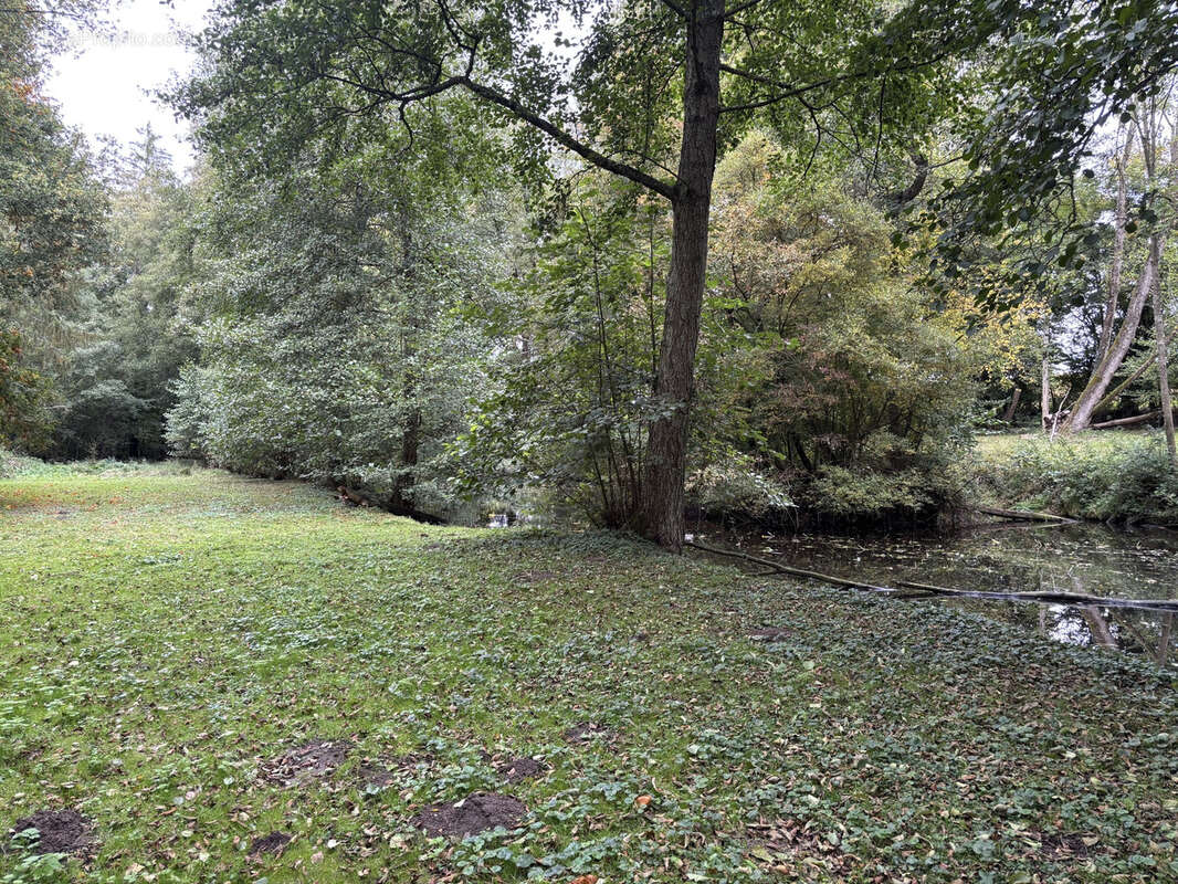 Terrain à SAINTE-CEROTTE