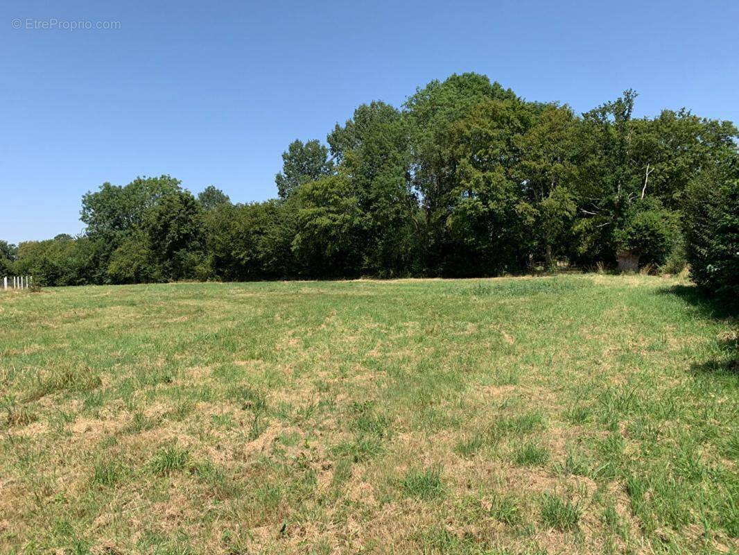 Terrain à BEAUMESNIL