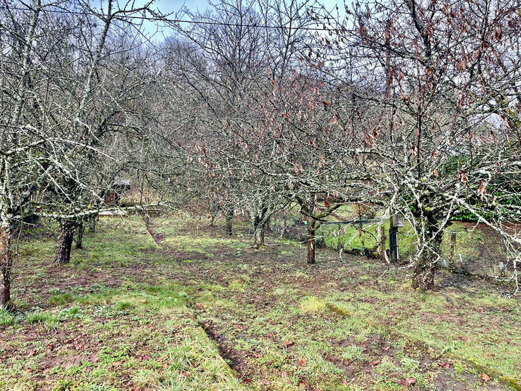 Terrain à STEINBACH