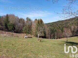 Photo 6 - Terrain à DABO