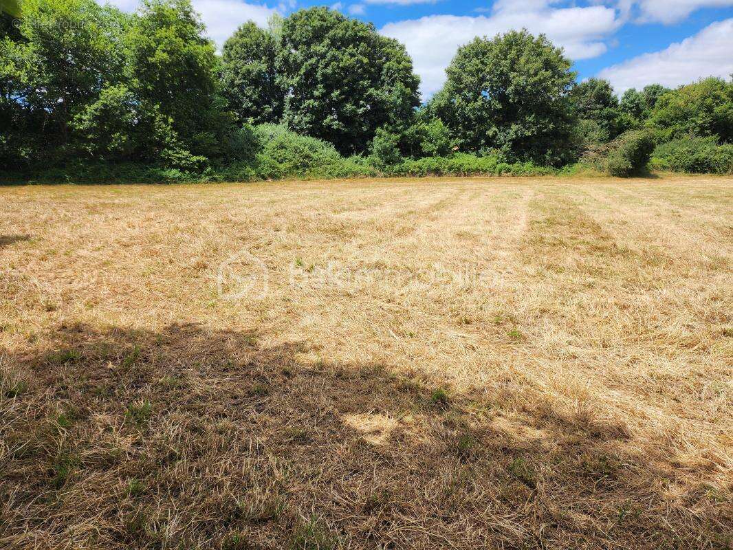 Terrain de loisirs bord de rivière – 2860 m² – Sanxay - photo 4