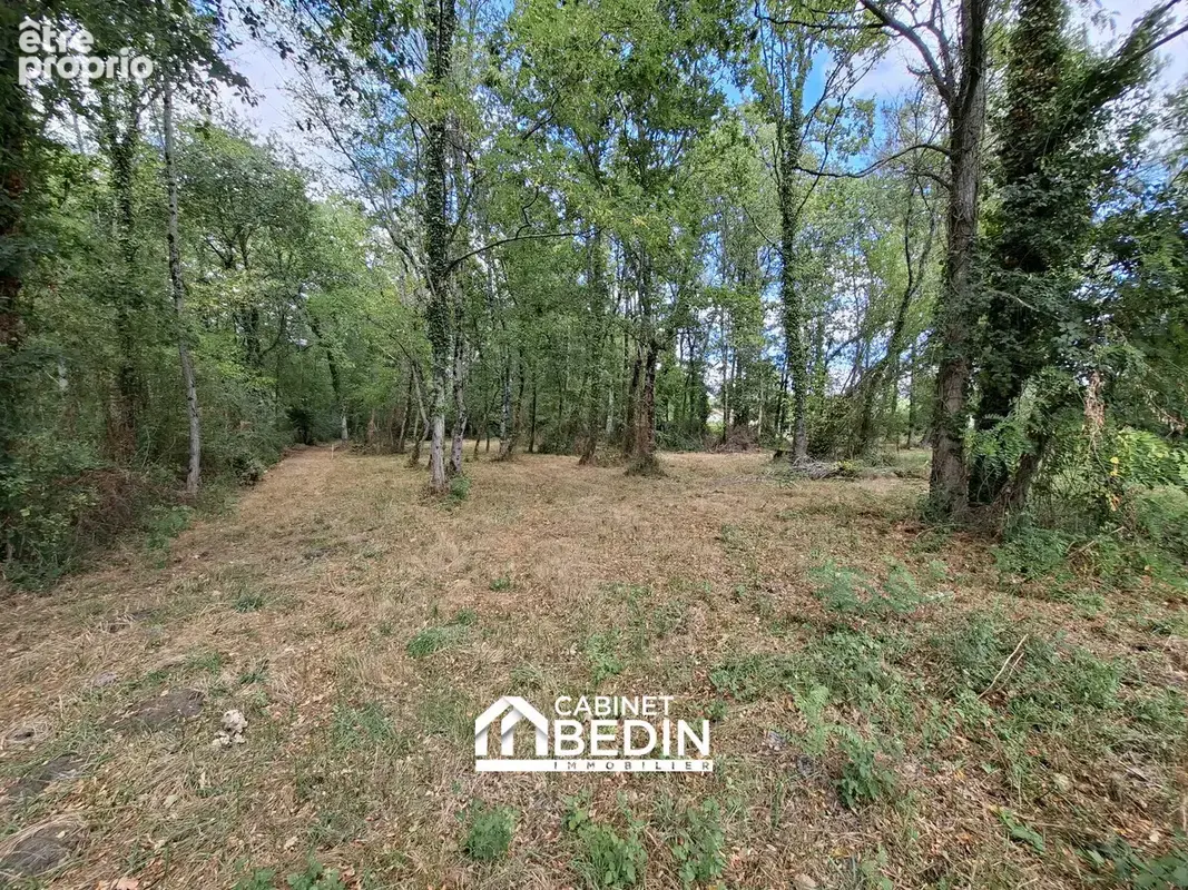 Terrain 2 400 m² à vendre à Leogeats (33210) - photo 4