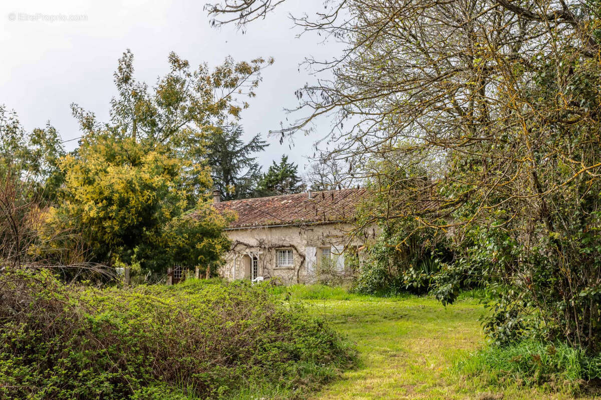 Stone property for renovation - photo 30