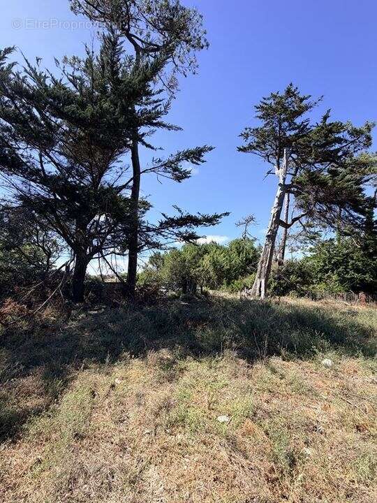 Terrain à SOULAC-SUR-MER