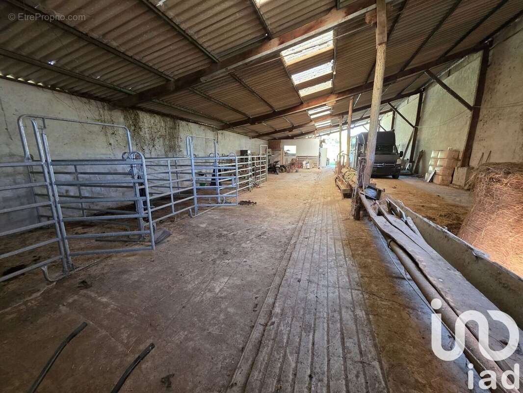 Photo 8 - Maison à AICIRITS-CAMOU-SUHAST