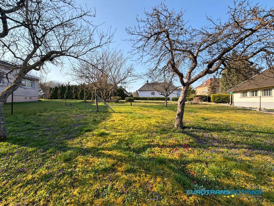 Terrain à REICHSHOFFEN