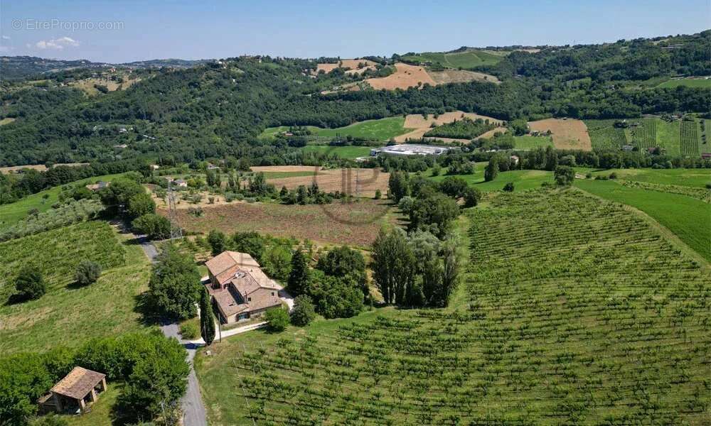 Ferme avec appartements, laboratoire de transformation et boutique à la ferme — Le Marche - photo 25