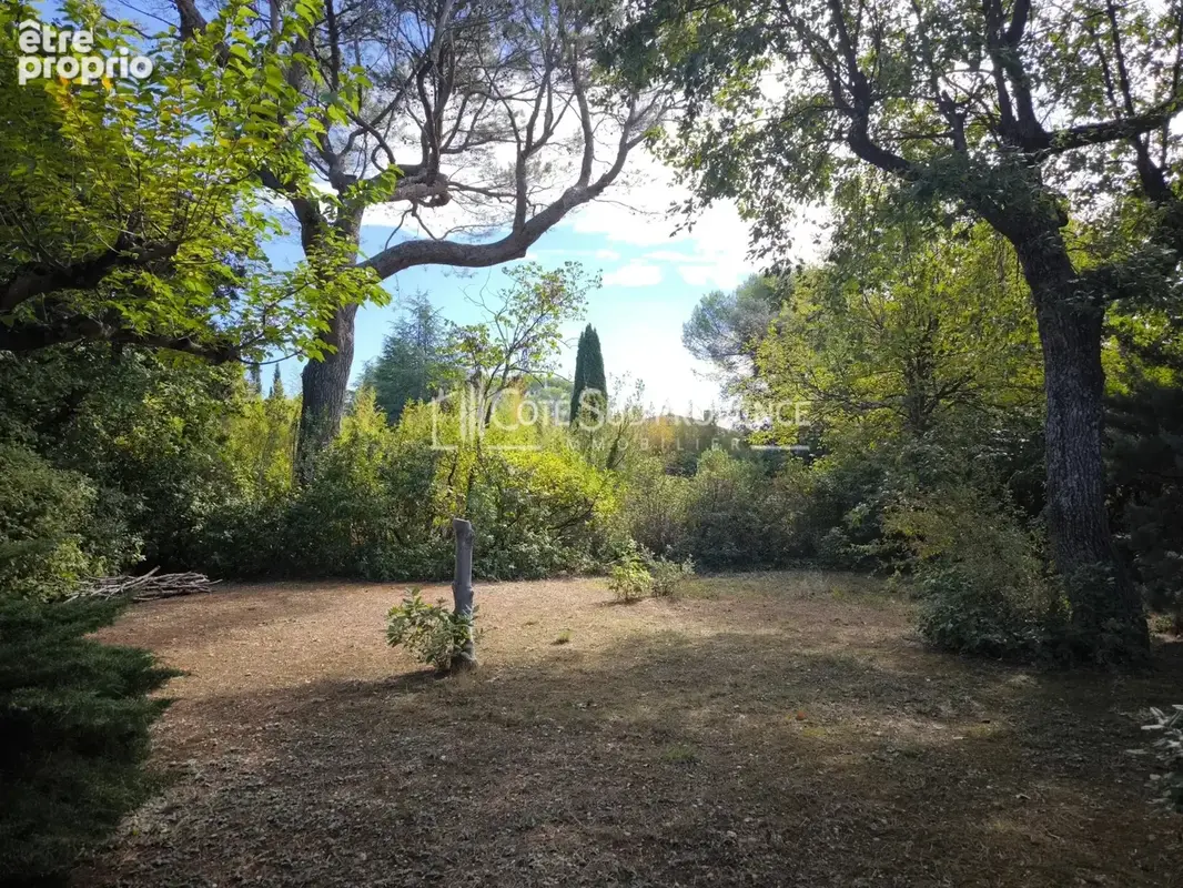 Terrain constructible a saint didier - photo 4