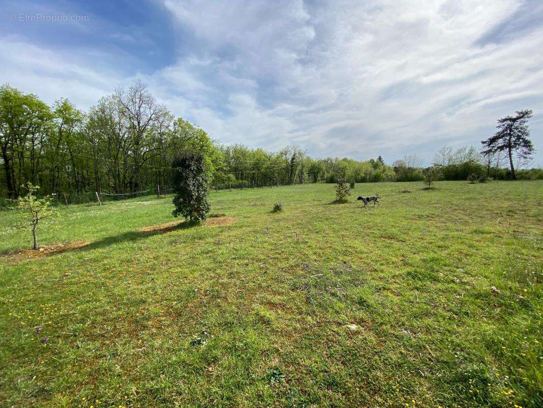 Maison à SAINTE-ALVERE