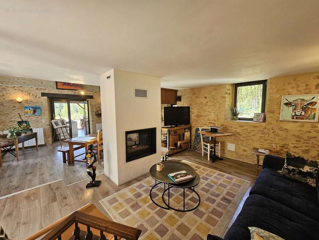 Maison 11 pièces 280 m² à vendre à Paunat (24510) - photo 6