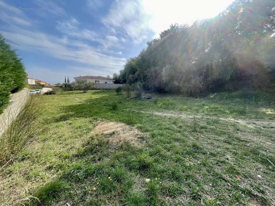 Terrain à CANET-EN-ROUSSILLON