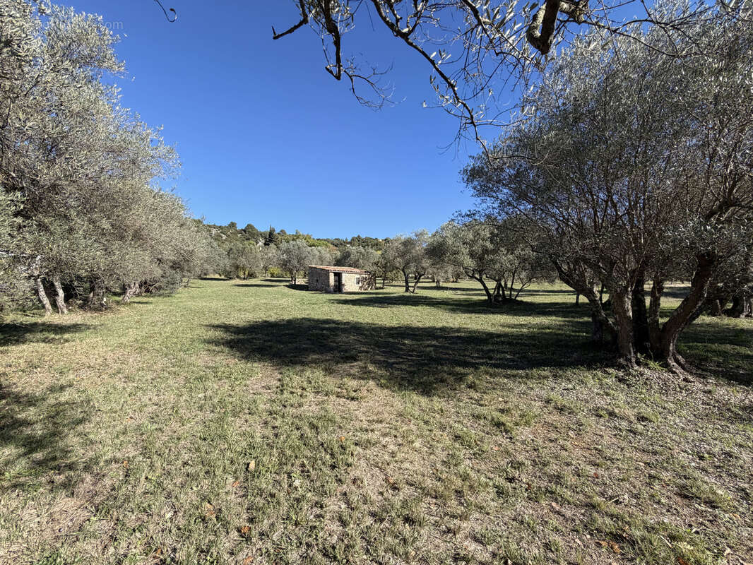 Terrain à MOISSAC-BELLEVUE