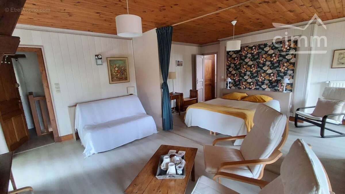 A VENDRE, Vineuil, propriété de charme avec chambres d'hôtes, gites et piscine - photo 10