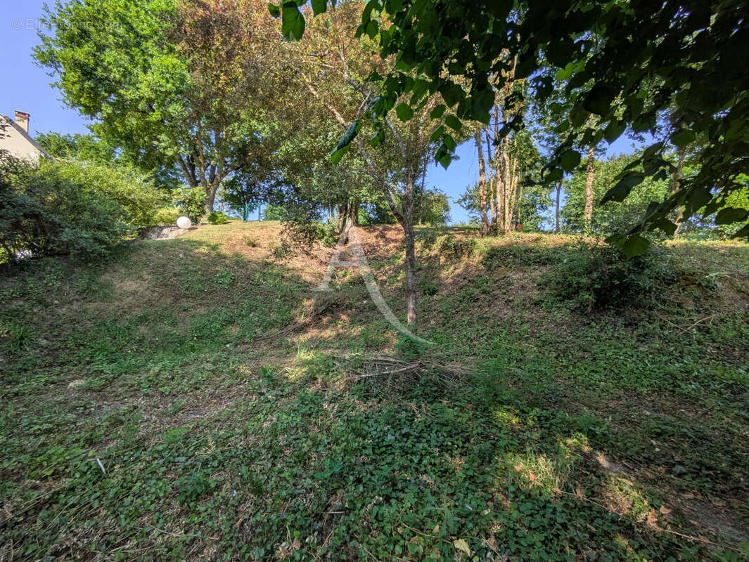 Terrain à ONZAIN