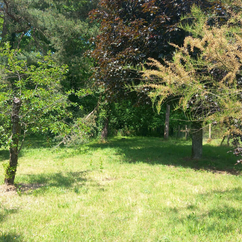 Maison Poligny 4 pièce(s)  82 m2 - photo 11