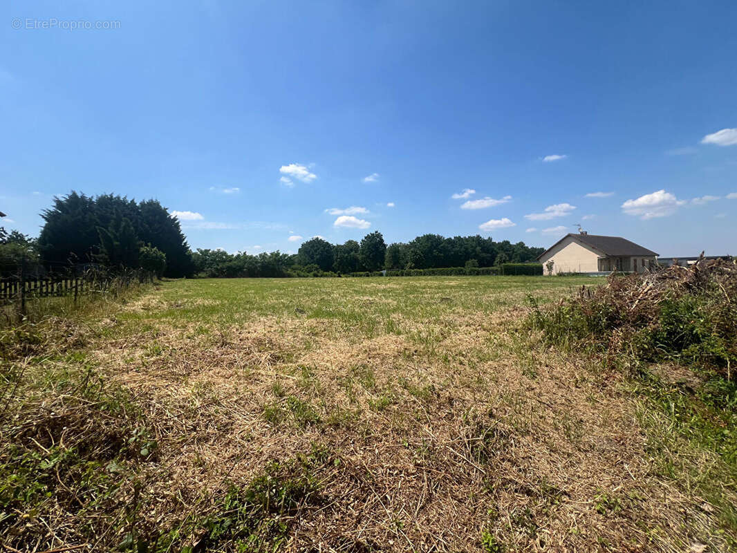 Terrain à NERIS-LES-BAINS