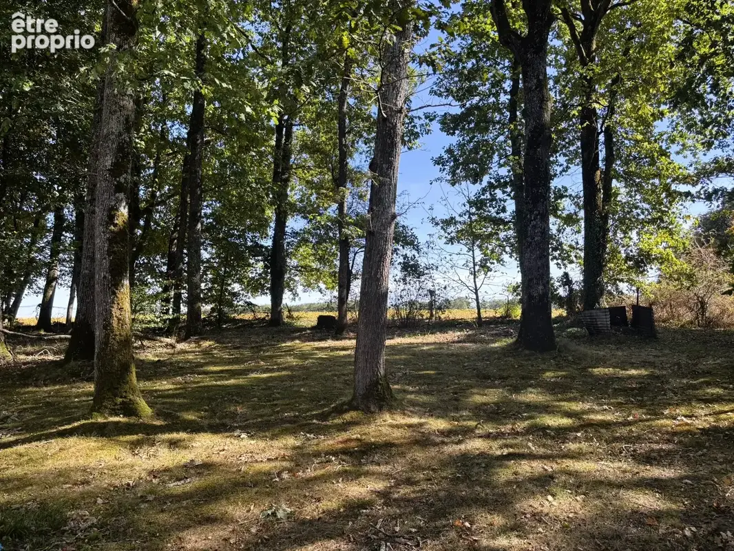 Saint-hilaire-les-andresis - photo 4