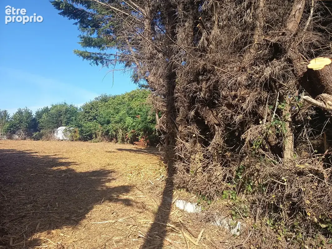 Terrain Plouha 1095 m2 - photo 2