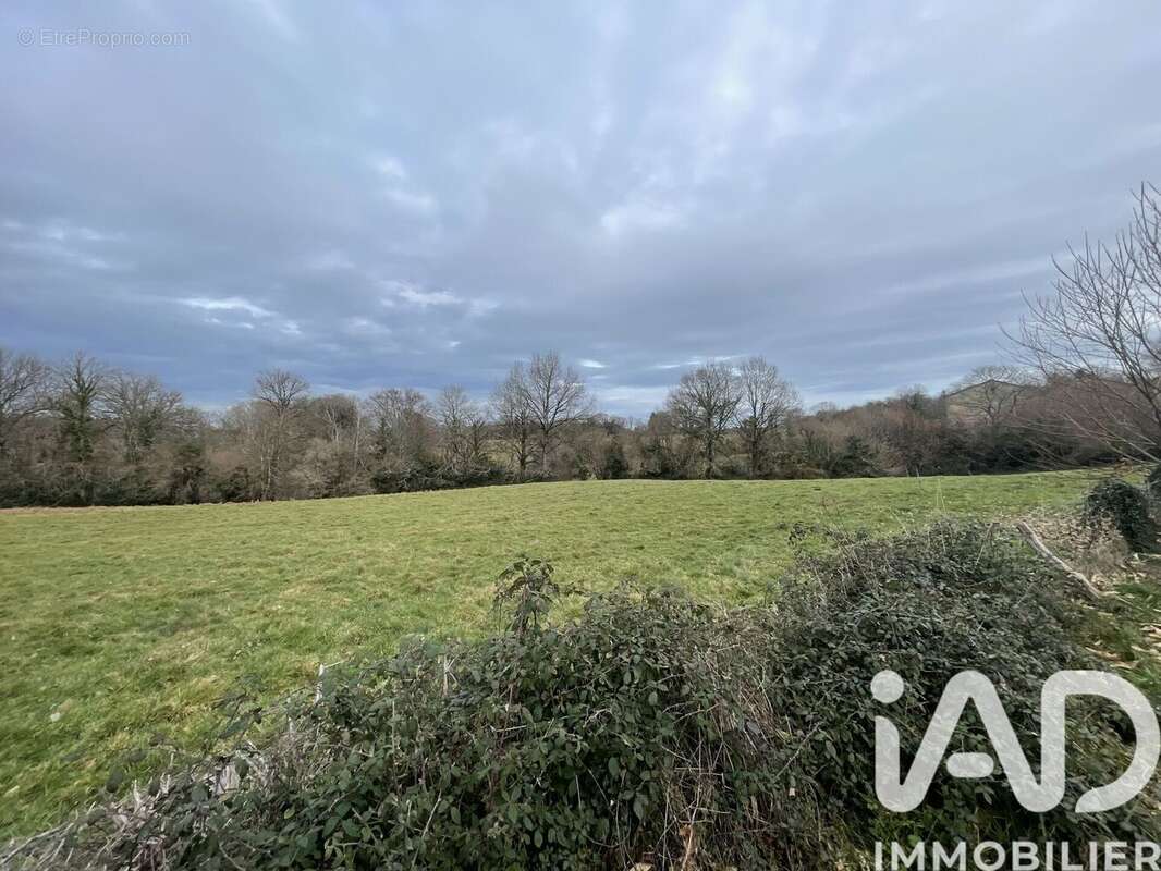 Photo 4 - Maison à NEUVIC-ENTIER