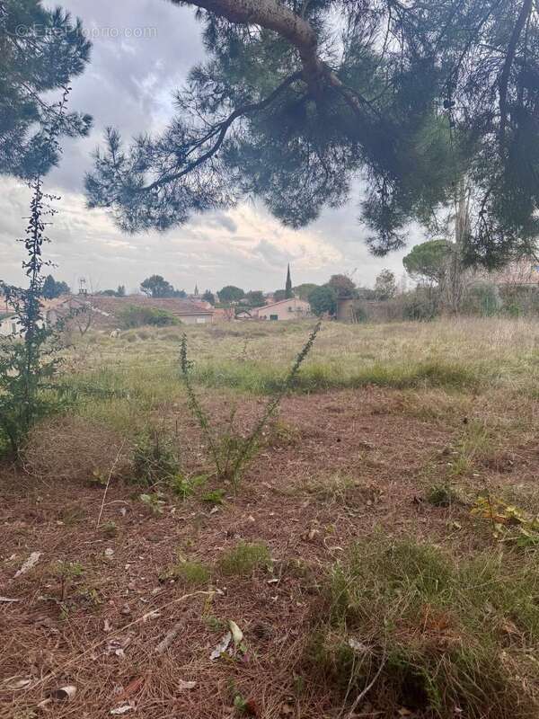 Terrain à PELISSANNE