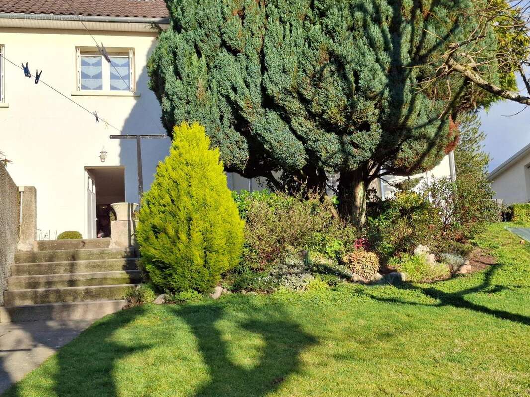 Photo 4 - Maison à SAINT-CERE