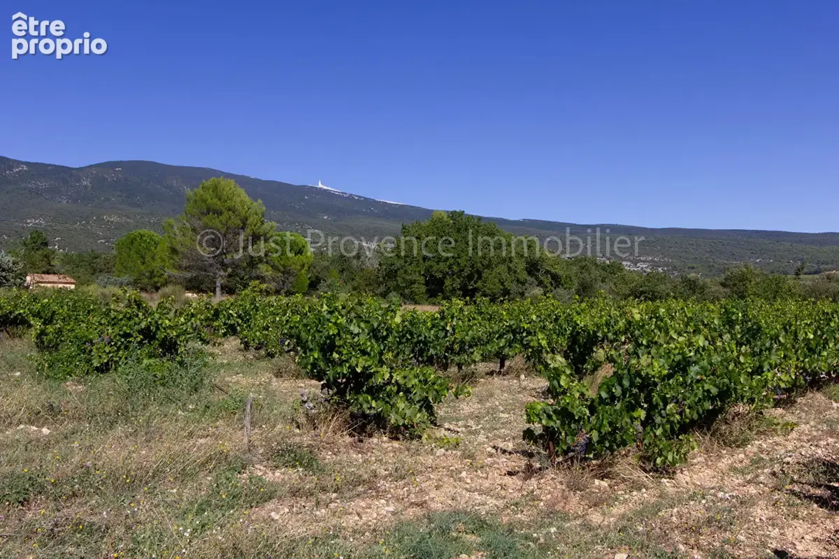 Maison de plain-pied Bedoin 5 pièces 122 m2 sur 785 m² de terrain. - photo 14