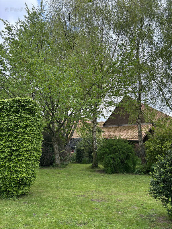 Maison à POMMERA