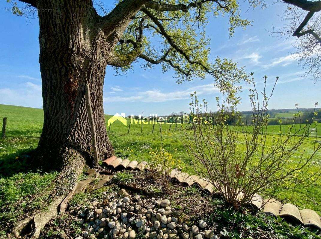 Maison à CHATILLON-SUR-CHALARONNE