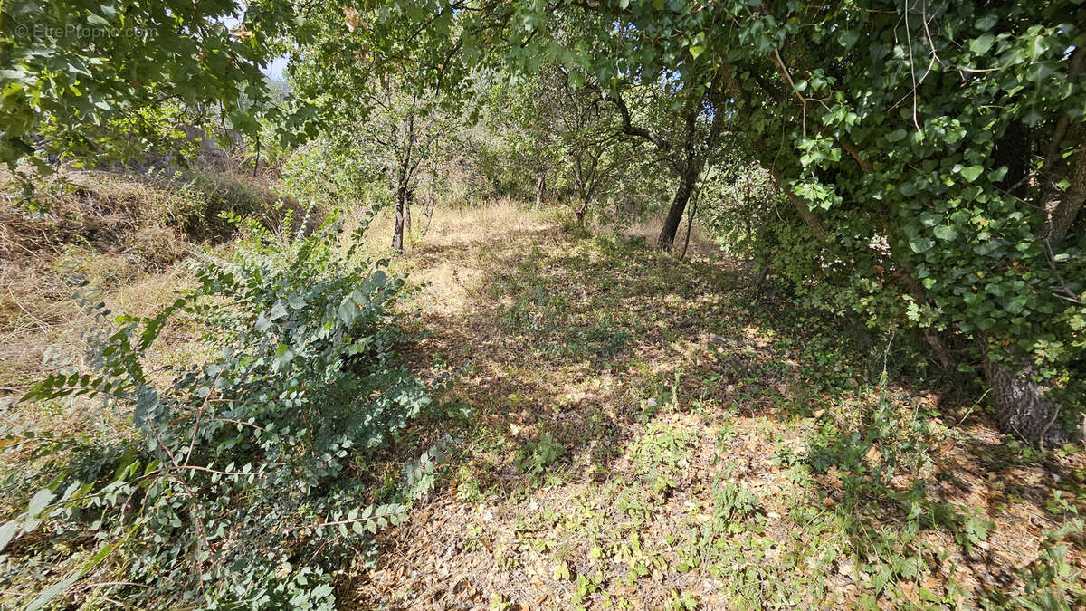Terrain à GATTIERES